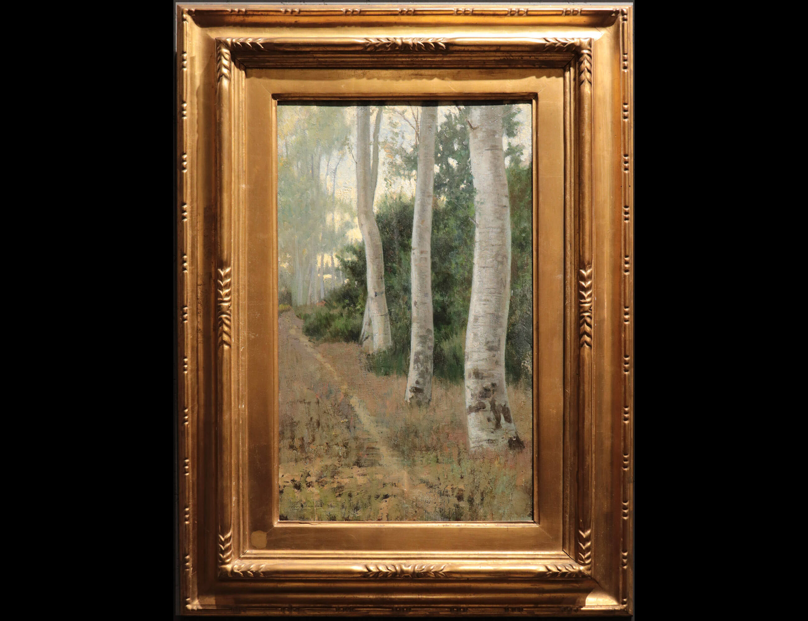 Sentiero nel bosco